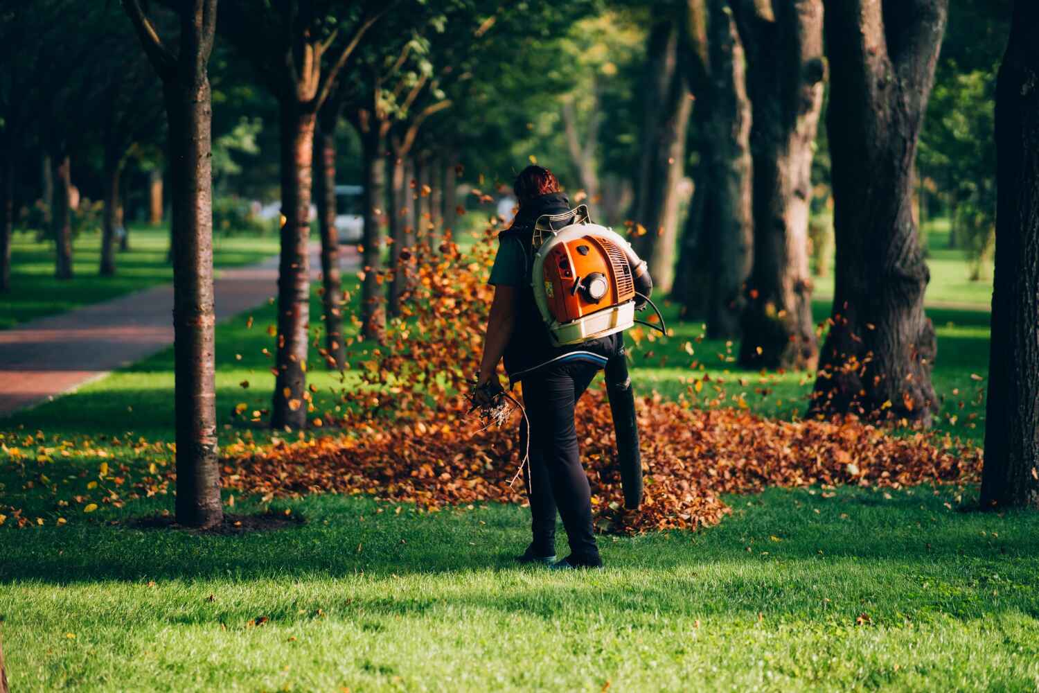 Best Tree Care Services  in Raintree Plantation, MO